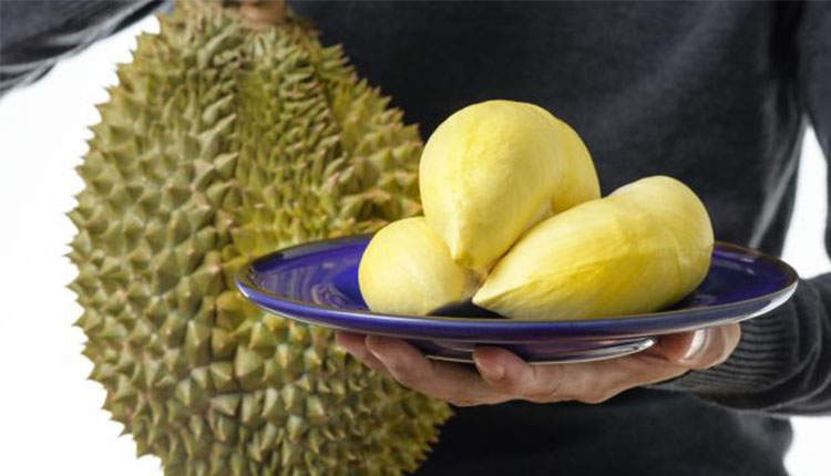 Fakta Buah Durian yang Wajib Kamu Tahu